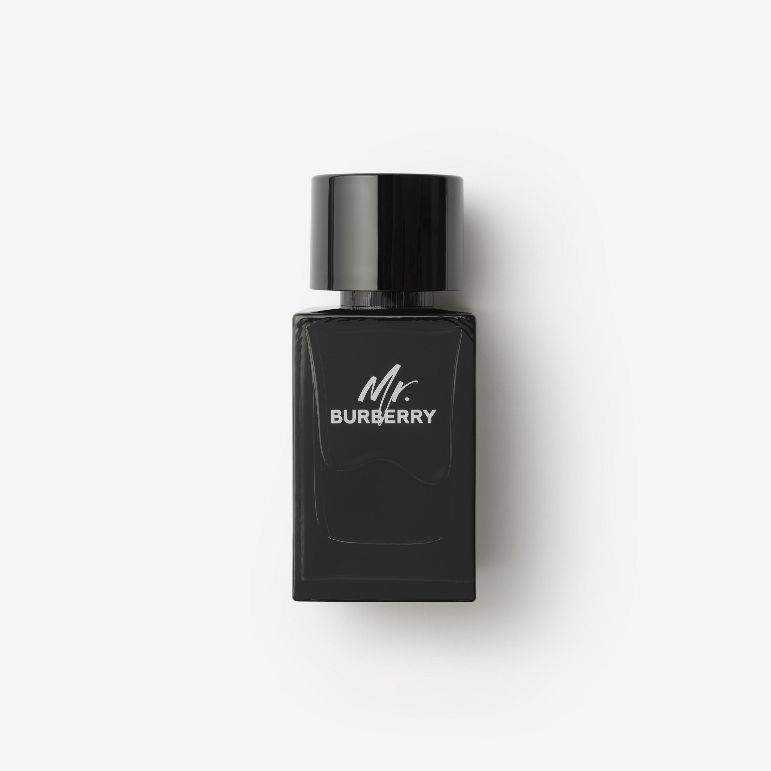 Mr. Burberry Eau de Parfum